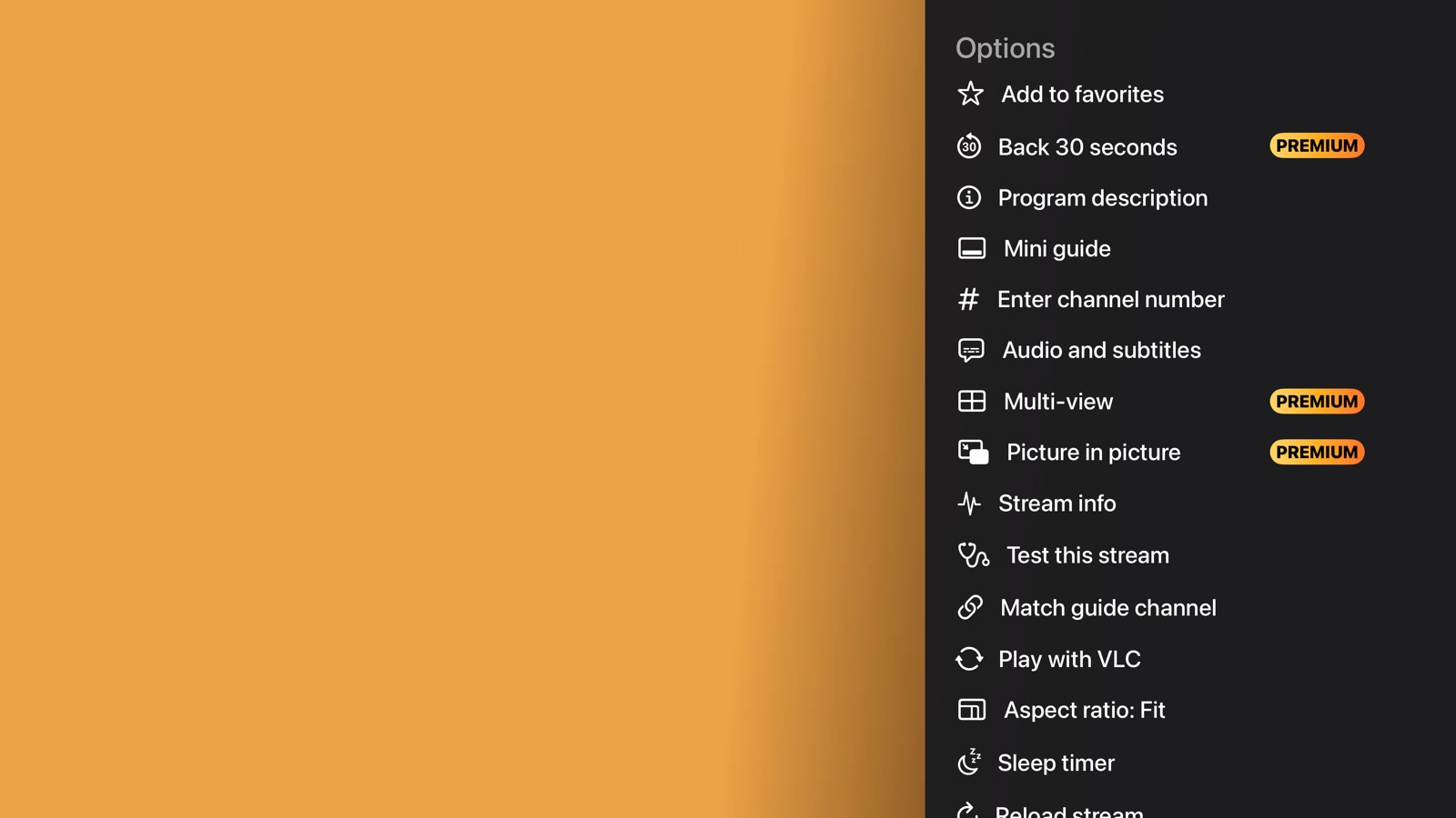 SoliTV Master Options and Multi-View Panel